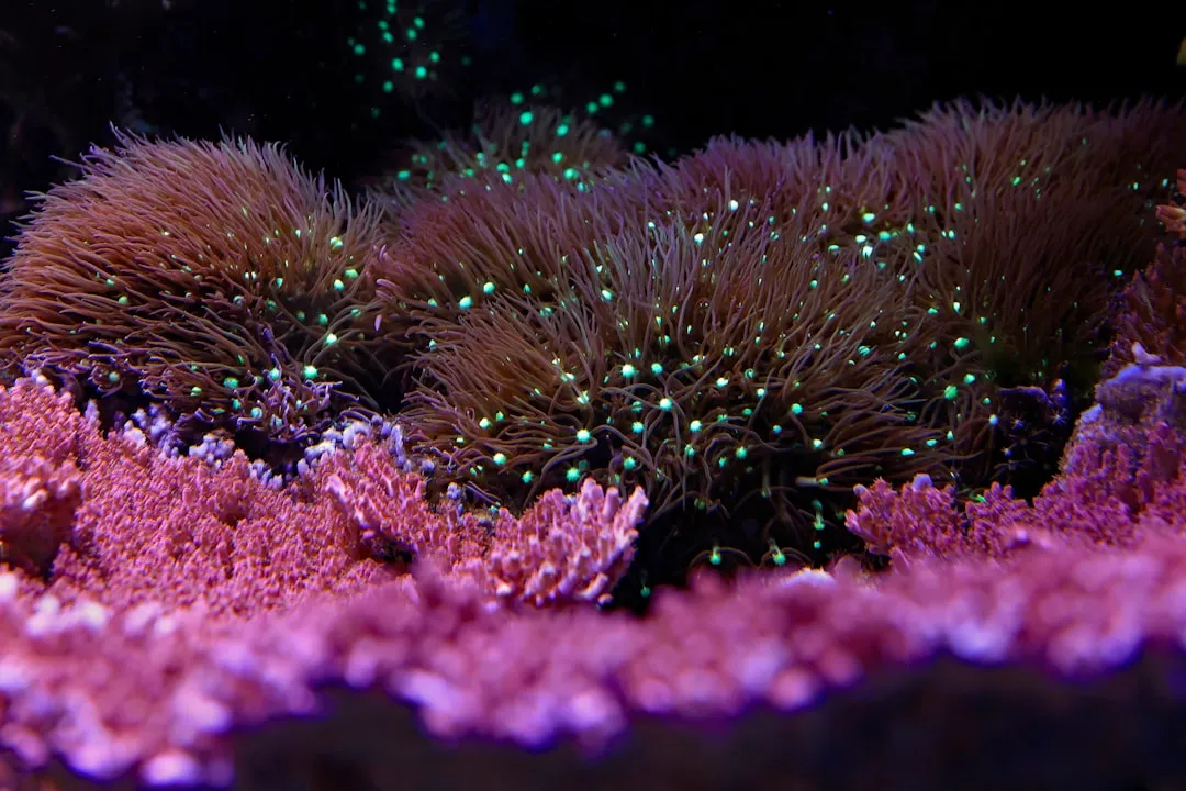 How to Connect Jira to OpenClaw: Automated Issue Tracking