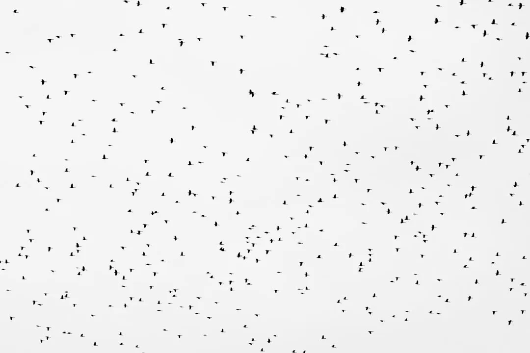 How to Get Your Slack Bot Token: Workspace App Setup