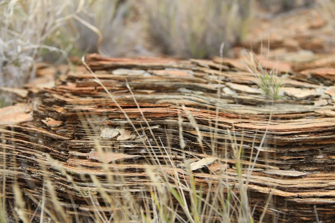 How to Set Up OpenClaw the Right Way: 10 Steps to a Working AI Assistant